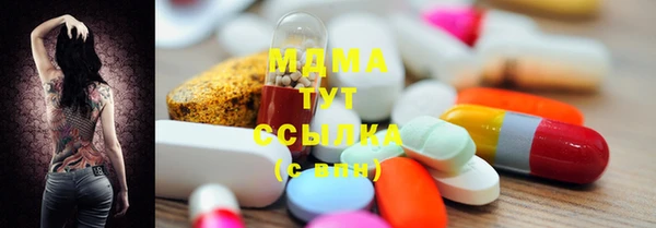 ПСИЛОЦИБИНОВЫЕ ГРИБЫ Богданович
