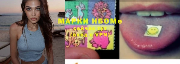 ПСИЛОЦИБИНОВЫЕ ГРИБЫ Богданович