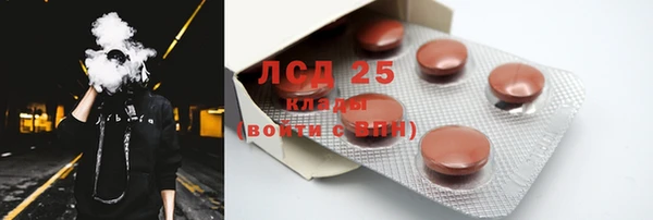 ПСИЛОЦИБИНОВЫЕ ГРИБЫ Богданович
