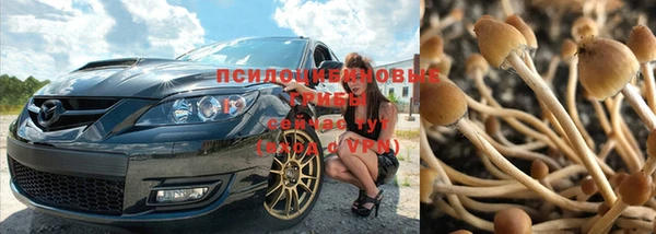 бошки Белоозёрский